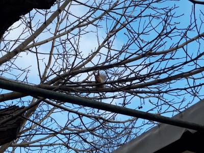 Прикрепленное изображение: бел2.jpg